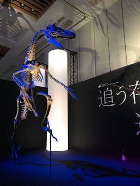DinoScience 恐竜科学博 2023@TOKYO MIDTOWNに投稿された画像（2023/8/31）