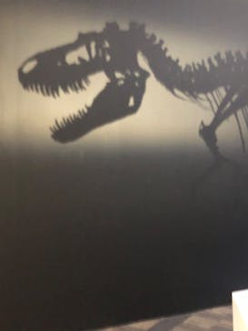 DinoScience 恐竜科学博 2023@TOKYO MIDTOWNに投稿された画像（2023/8/31）