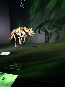 DinoScience 恐竜科学博 2023@TOKYO MIDTOWNに投稿された画像（2023/8/31）