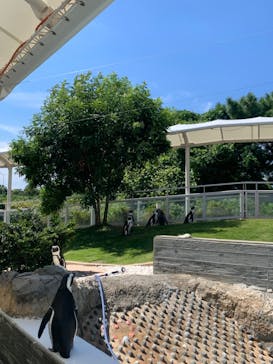 マリンワールド海の中道に投稿された画像（2023/8/31）