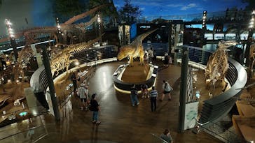 福井県立恐竜博物館に投稿された画像（2023/8/31）