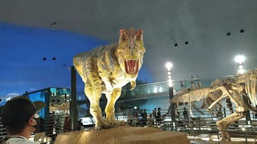 福井県立恐竜博物館に投稿された画像（2023/8/31）