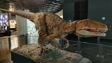 福井県立恐竜博物館に投稿された画像（2023/8/31）