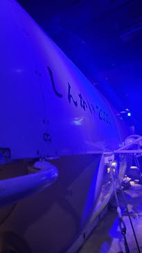 新江ノ島水族館に投稿された画像（2023/8/31）