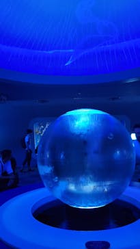 新江ノ島水族館に投稿された画像（2023/8/31）