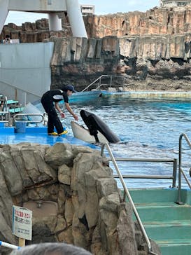 名古屋港水族館に投稿された画像（2023/8/31）