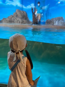 しながわ水族館に投稿された画像（2023/8/31）