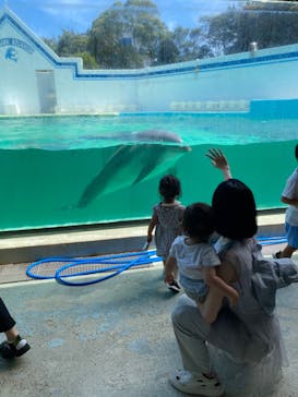 しながわ水族館に投稿された画像（2023/8/31）