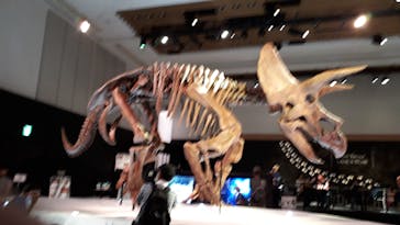 DinoScience 恐竜科学博 2023@TOKYO MIDTOWNに投稿された画像（2023/8/31）