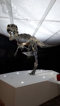 DinoScience 恐竜科学博 2023@TOKYO MIDTOWNに投稿された画像（2023/8/31）