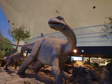 福井県立恐竜博物館に投稿された画像（2023/8/31）