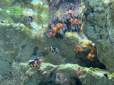 サンシャイン水族館に投稿された画像（2023/8/31）