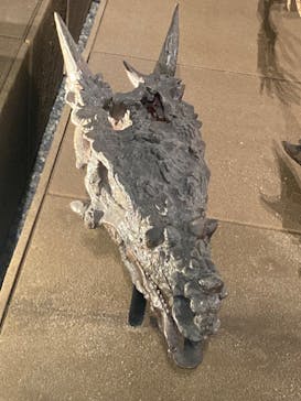 福井県立恐竜博物館に投稿された画像（2023/8/31）