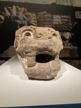 特別展「古代メキシコーマヤ、アステカ、テオティワカン」に投稿された画像（2023/8/31）