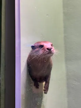 マクセル アクアパーク品川に投稿された画像（2023/8/31）