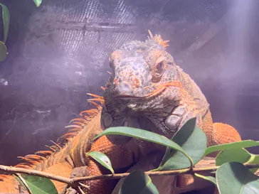 マクセル アクアパーク品川に投稿された画像（2023/8/31）