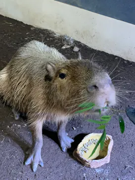 マクセル アクアパーク品川に投稿された画像（2023/8/31）