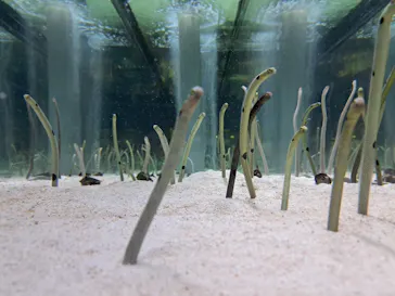 すみだ水族館に投稿された画像（2023/8/31）