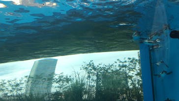 サンシャイン水族館に投稿された画像（2023/8/31）