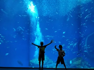 アクアワールド茨城県大洗水族館に投稿された画像（2023/8/31）