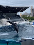 京都水族館×ニデック京都タワーに投稿された画像（2023/8/31）