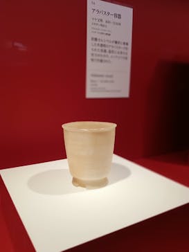特別展「古代メキシコーマヤ、アステカ、テオティワカン」に投稿された画像（2023/8/31）