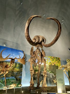 福井県立恐竜博物館に投稿された画像（2023/8/31）