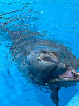 南知多ビーチランド＆南知多おもちゃ王国に投稿された画像（2023/8/31）