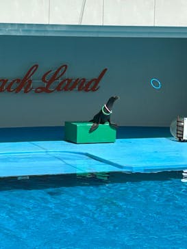 南知多ビーチランド＆南知多おもちゃ王国に投稿された画像（2023/8/31）