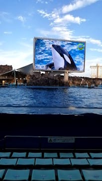 名古屋港水族館に投稿された画像（2023/8/31）