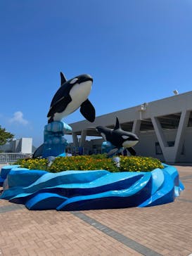 鴨川シーワールドに投稿された画像（2023/8/31）