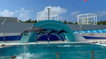 鴨川シーワールドに投稿された画像（2023/8/31）