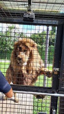 那須サファリパークに投稿された画像（2023/8/31）