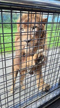 那須サファリパークに投稿された画像（2023/8/31）