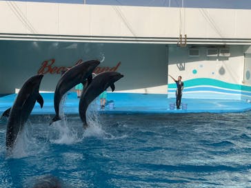 南知多ビーチランド＆南知多おもちゃ王国に投稿された画像（2023/8/31）