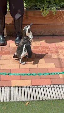 マクセル アクアパーク品川に投稿された画像（2023/8/31）