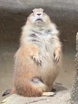 神戸どうぶつ王国に投稿された画像（2023/8/31）