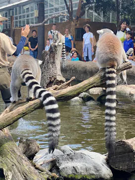 神戸どうぶつ王国に投稿された画像（2023/8/31）