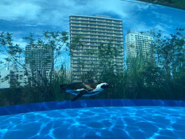 サンシャイン水族館に投稿された画像（2023/8/31）