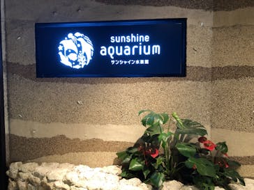 サンシャイン水族館に投稿された画像（2023/8/31）