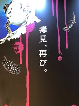 サンシャイン水族館に投稿された画像（2023/8/31）