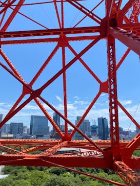 東京タワーに投稿された画像（2023/8/31）
