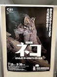特別展「ネコ」 ～にゃんと！クールなハンターたち～に投稿された画像（2023/9/1）