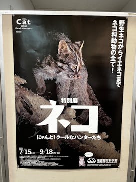 特別展「ネコ」 ～にゃんと！クールなハンターたち～に投稿された画像（2023/8/31）