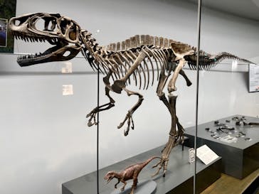 福井県立恐竜博物館に投稿された画像（2023/8/31）