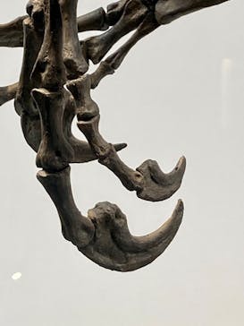 福井県立恐竜博物館に投稿された画像（2023/8/31）