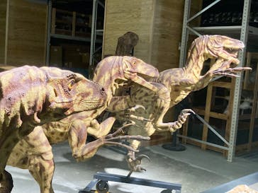 福井県立恐竜博物館に投稿された画像（2023/8/31）