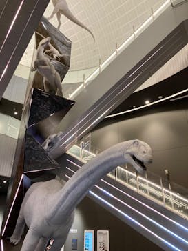 福井県立恐竜博物館に投稿された画像（2023/8/31）