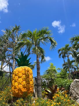 ナゴパイナップルパークに投稿された画像（2023/8/31）