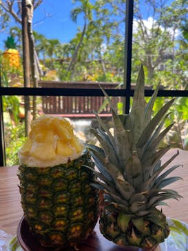 ナゴパイナップルパークに投稿された画像（2023/8/31）